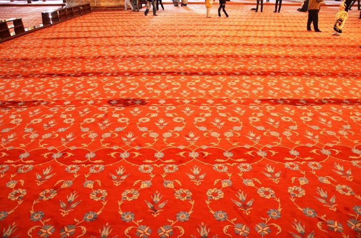 13907193_860218660779804_3350086554809726222_n