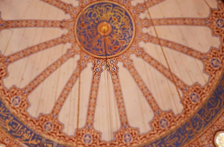 13962480_860218617446475_694069838080871382_n