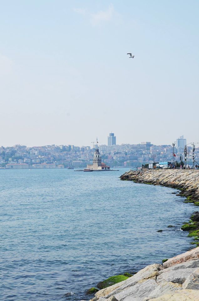 14976449_913954985406171_3576372776076173755_o