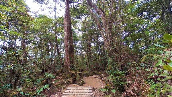 2017-04-15-100248-59-defisheye__1493396686_124.244.95.209