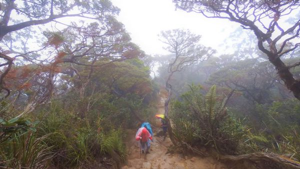 2017-04-15-124452-83-defisheye__1493396877_124.244.95.209