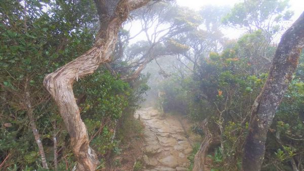 2017-04-15-132232-94-defisheye__1493396900_124.244.95.209