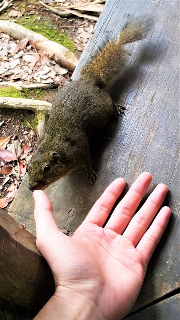 20170415_101000__1493397156_124.244.95.209