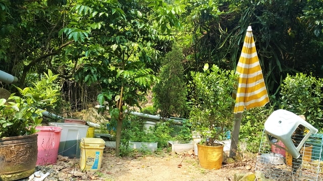 toolur.com-compress-image