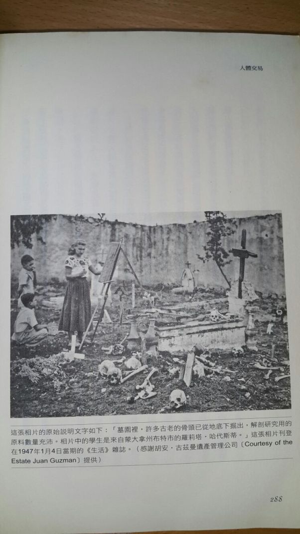 Image 2017-06-16 at 01.16.57 (1).jpeg