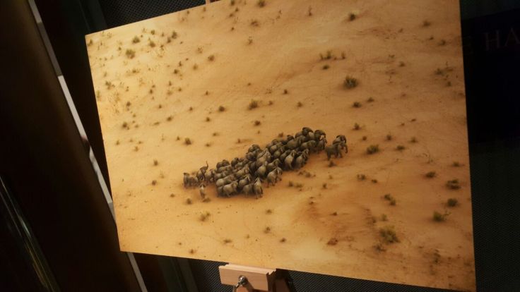 1ea8cc68-3b62-44b0-b939-d6b583e7ed93