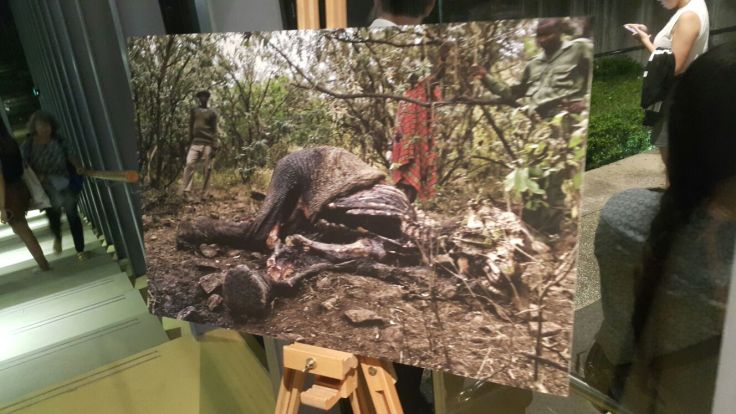 52ab8068-291f-4bc9-b03f-d56afbd02b4e