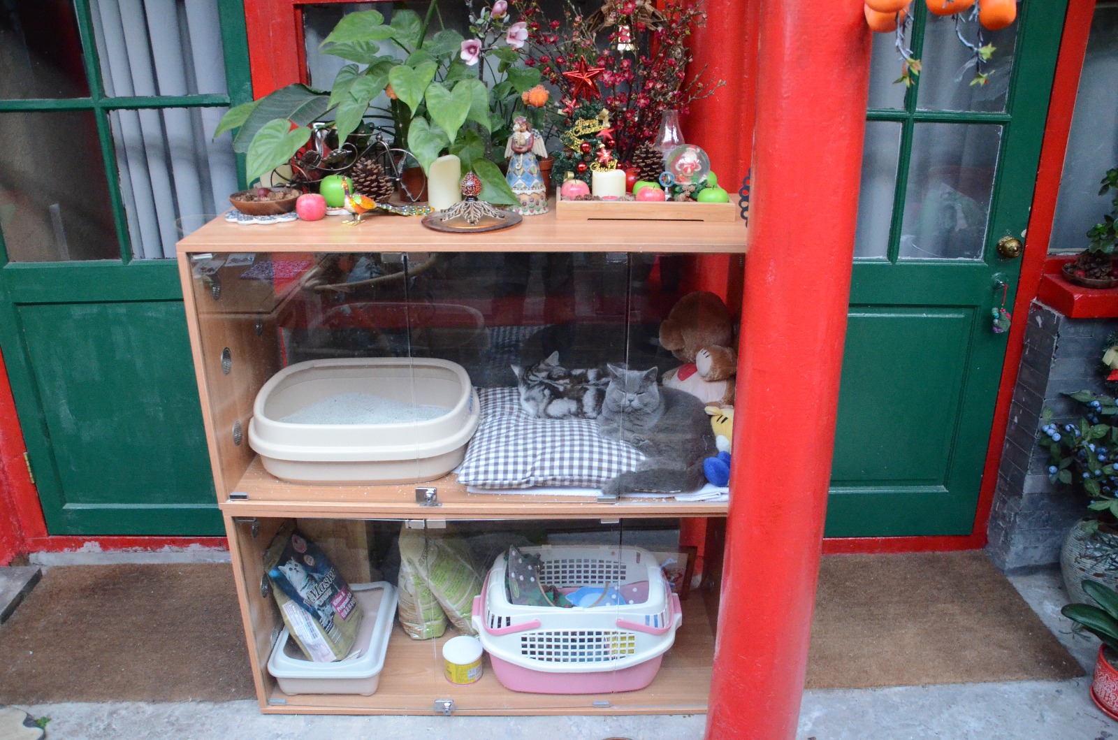 WhatsApp Image 2018-01-04 at 01.17.57 (1).jpeg