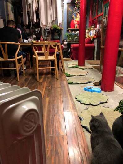 WhatsApp Image 2018-01-04 at 01.17.57