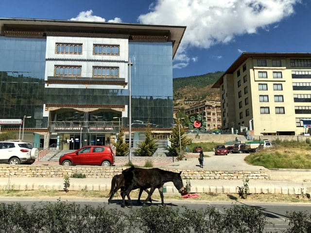 thimphu3.jpg