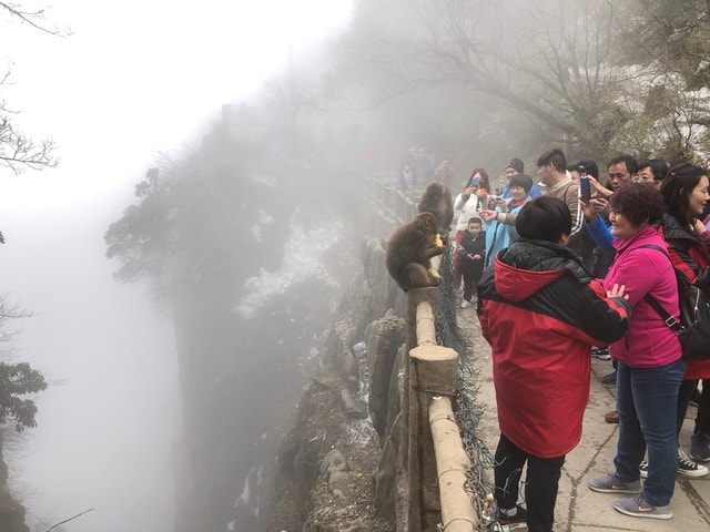 Webp.net-compress-image (3).jpg